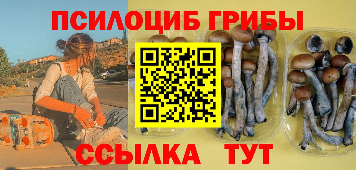 Родники  МЕТАМФЕТАМИН  ЭКСТАЗИ  Бошки Шишки  Вход с VPN  МАРИХУАНА  МЕФ   ГАШ  Где найти наркотики? 