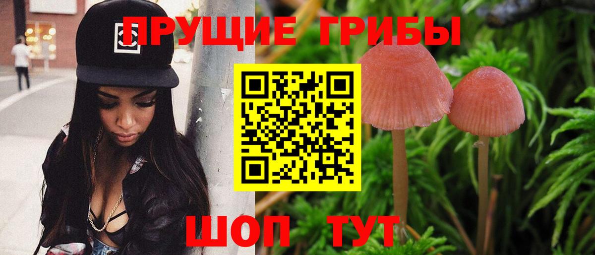 Псилоцибиновые грибы мухоморы  Вход с VPN  Родники 