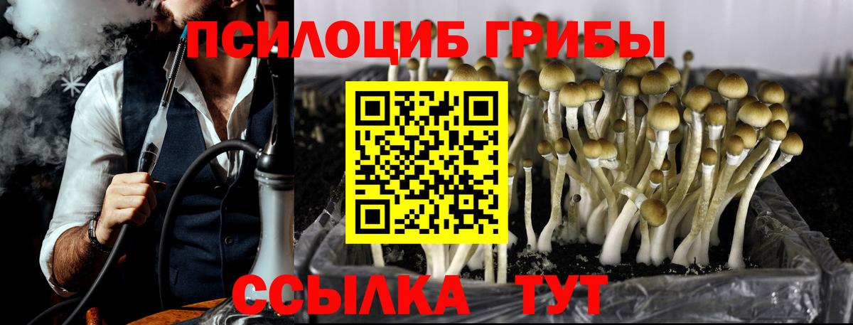 Галлюциногенные грибы прущие грибы Родники
